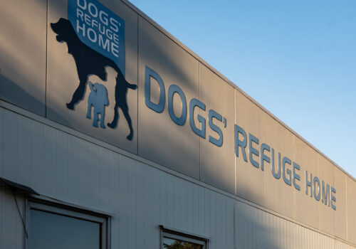 Shenton Park Dogs' Refuge Home